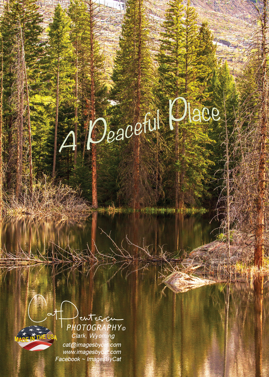 Greeting Card - A PEACEFUL PLACE