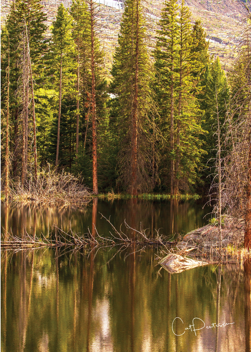 Greeting Card - A PEACEFUL PLACE