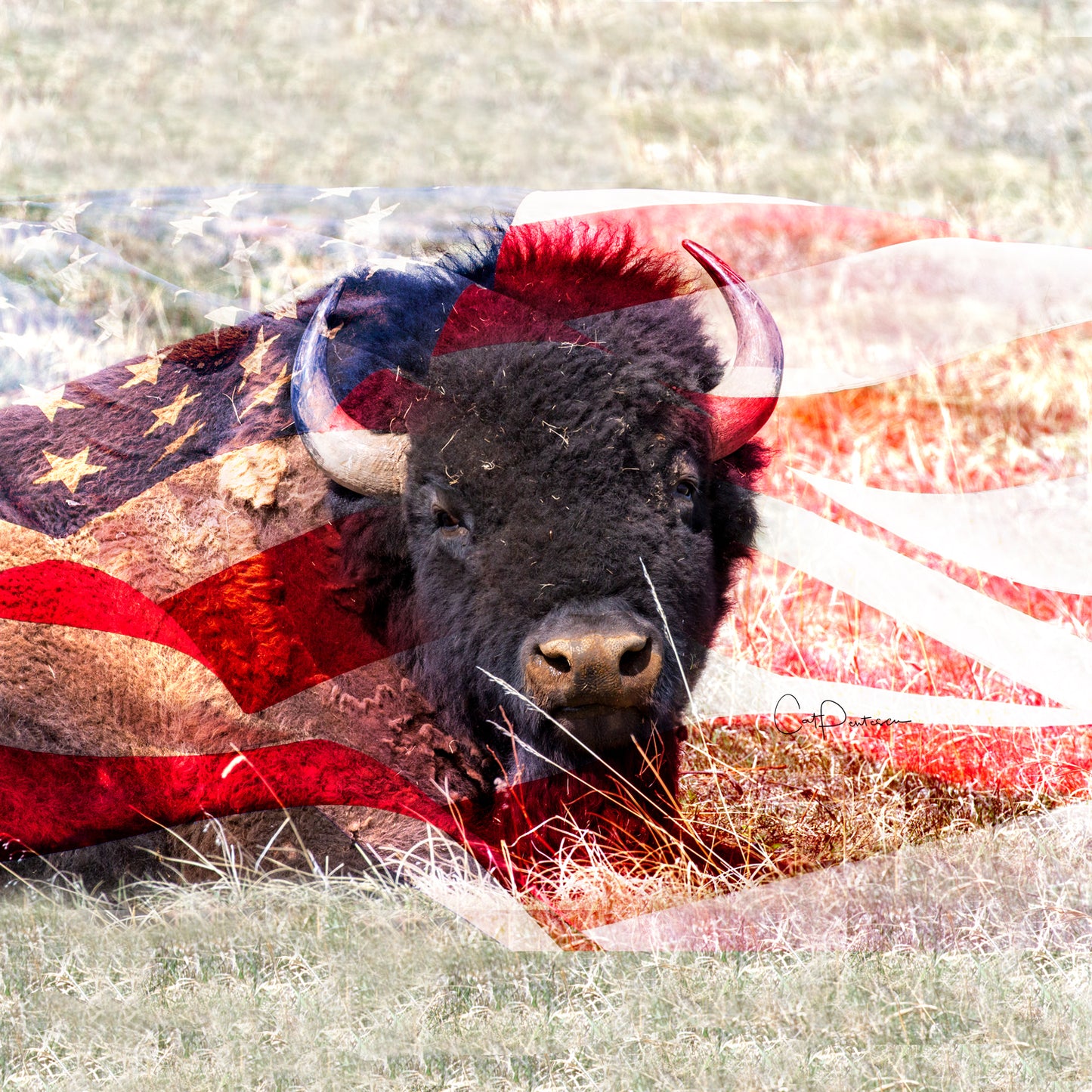 AMERICAN BUFFALO ACCENT PILLOW COVER