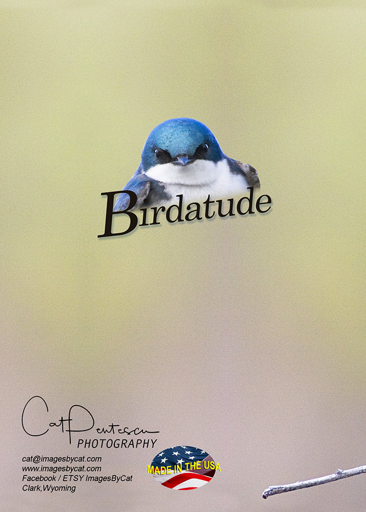 Greeting Card - BIRDATUDE