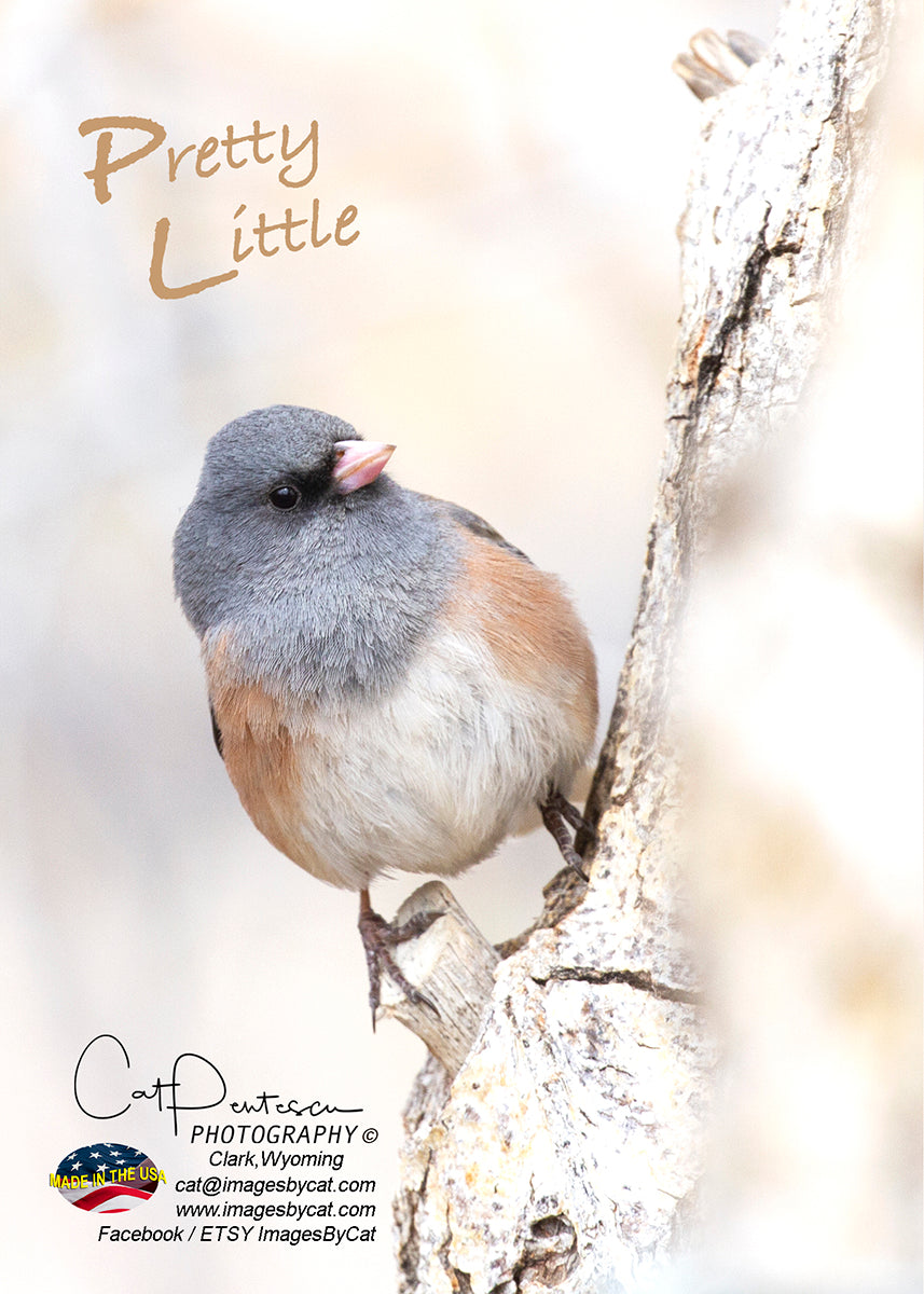 Greeting Card - PRETTY LITTLE