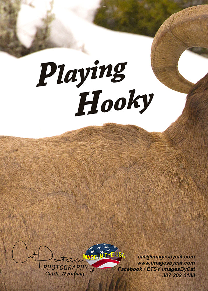 Greeting Card - PLAYING HOOKY