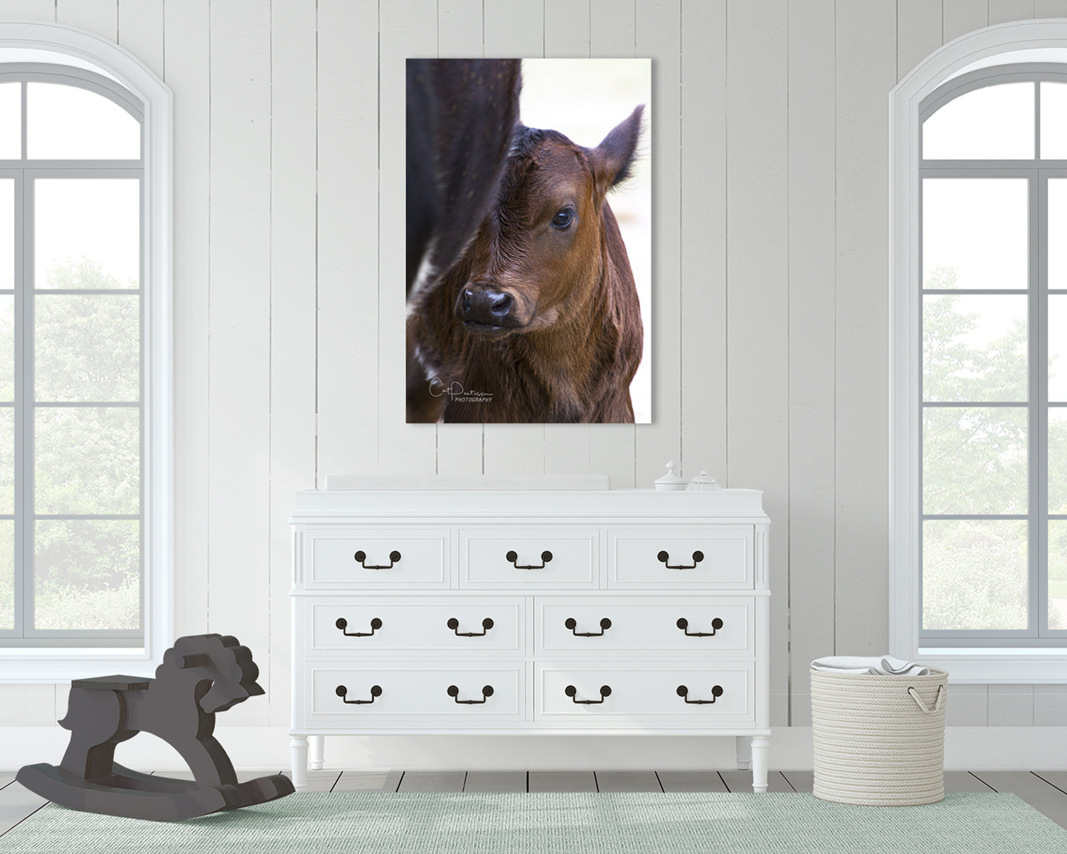 Livestock Angus calf nestled up by Angus Cow. Image hanging over dresser in nursery. Cat Pentescu Photography