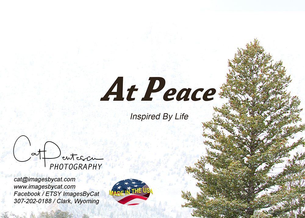 Greeting Card - BE AT PEACE