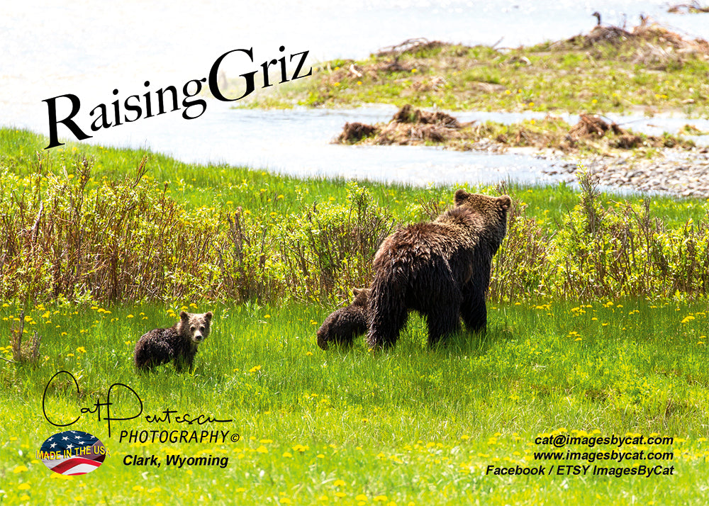 Greeting Card - RAISING GRIZ