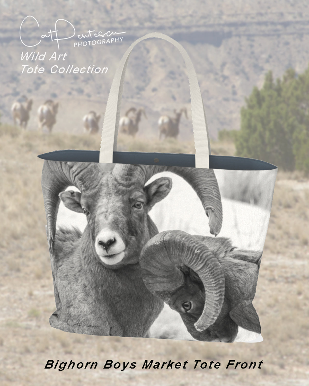 THE BIGHORN BOYS MARKET TOTE