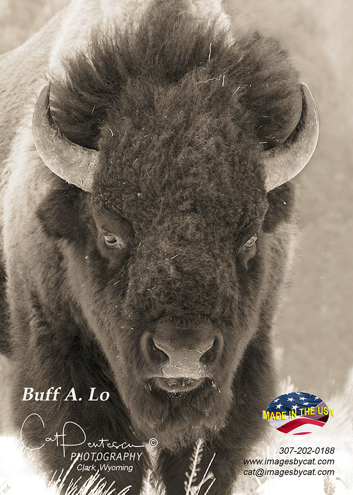 Greeting Card - BUFF A. LO