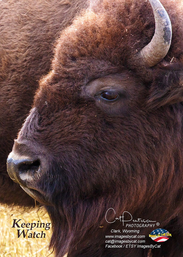 Greeting Card - KEEPING WATCH