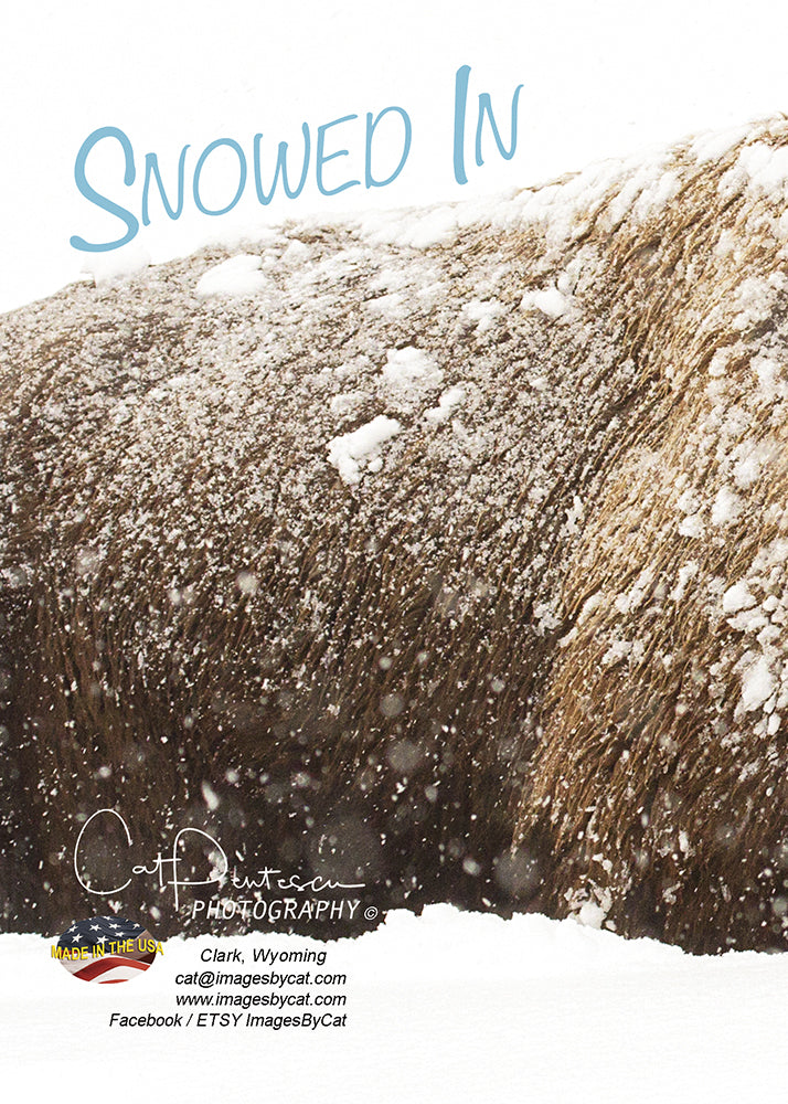 Greeting Card - SNOWED IN