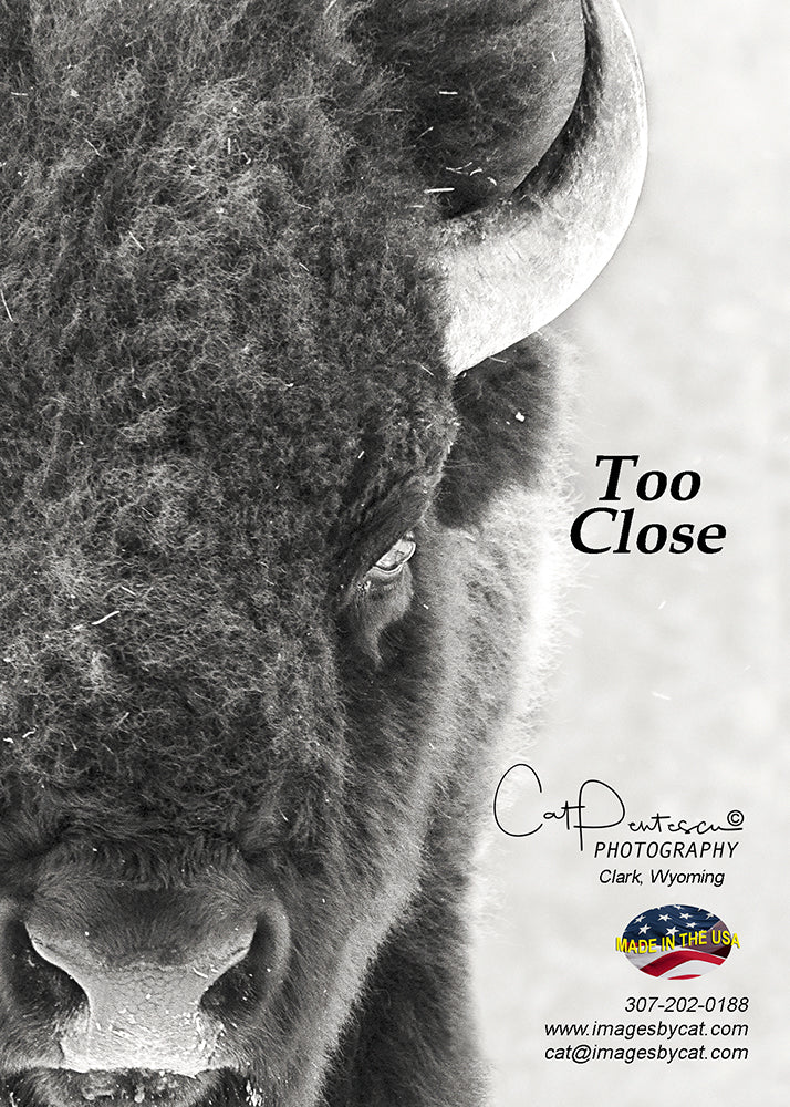 Greeting Card - TOO CLOSE