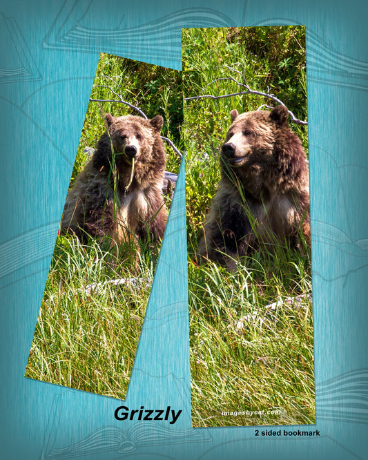GRIZZLY BOOKMARK