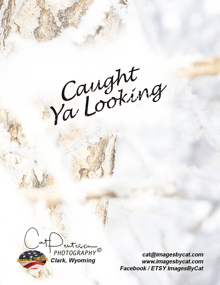 Note Cards - CAUGHT YA LOOKING