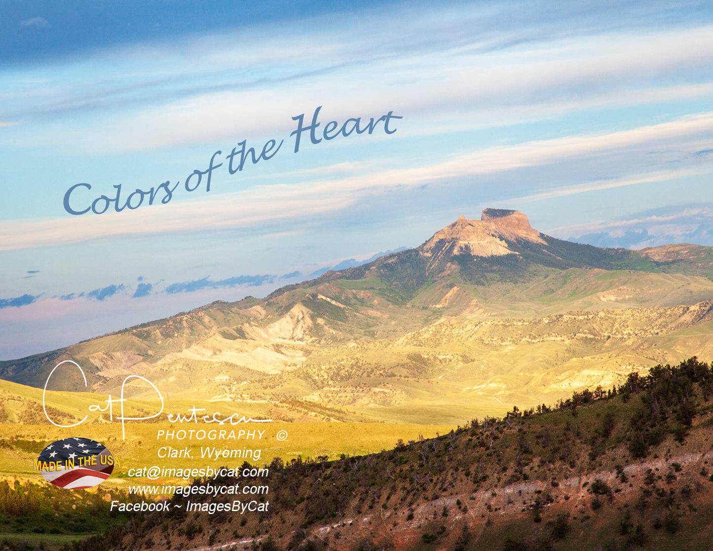 Note Cards - COLORS OF THE HEART