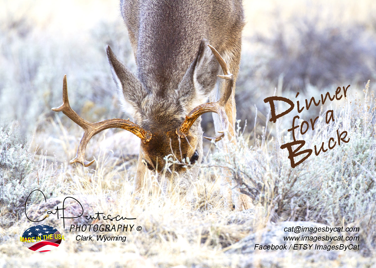 Greeting Card - DINNER FOR A BUCK