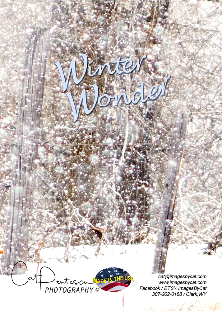 Greeting Card - WINTER WONDER