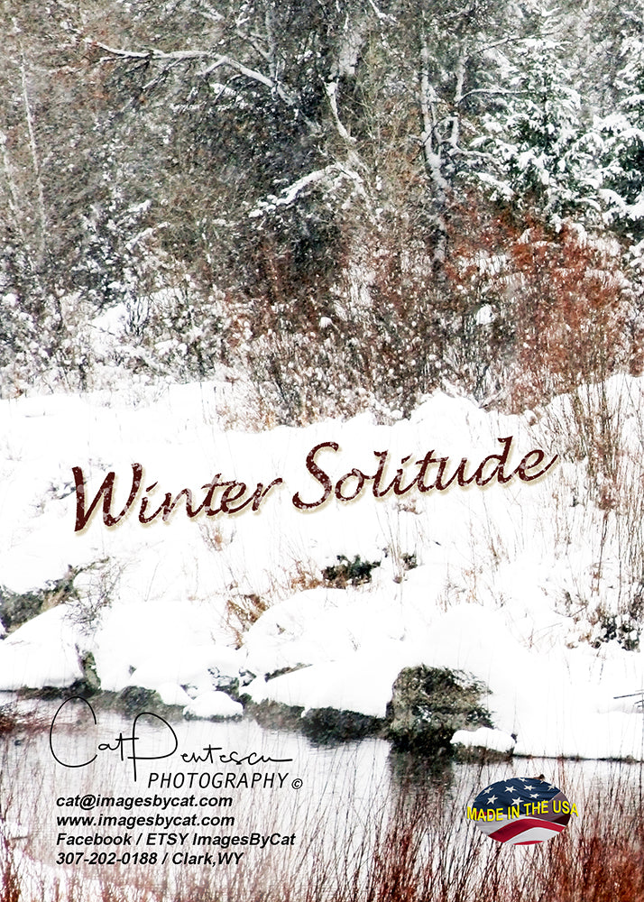 Greeting Card - WINTER SOLITUDE