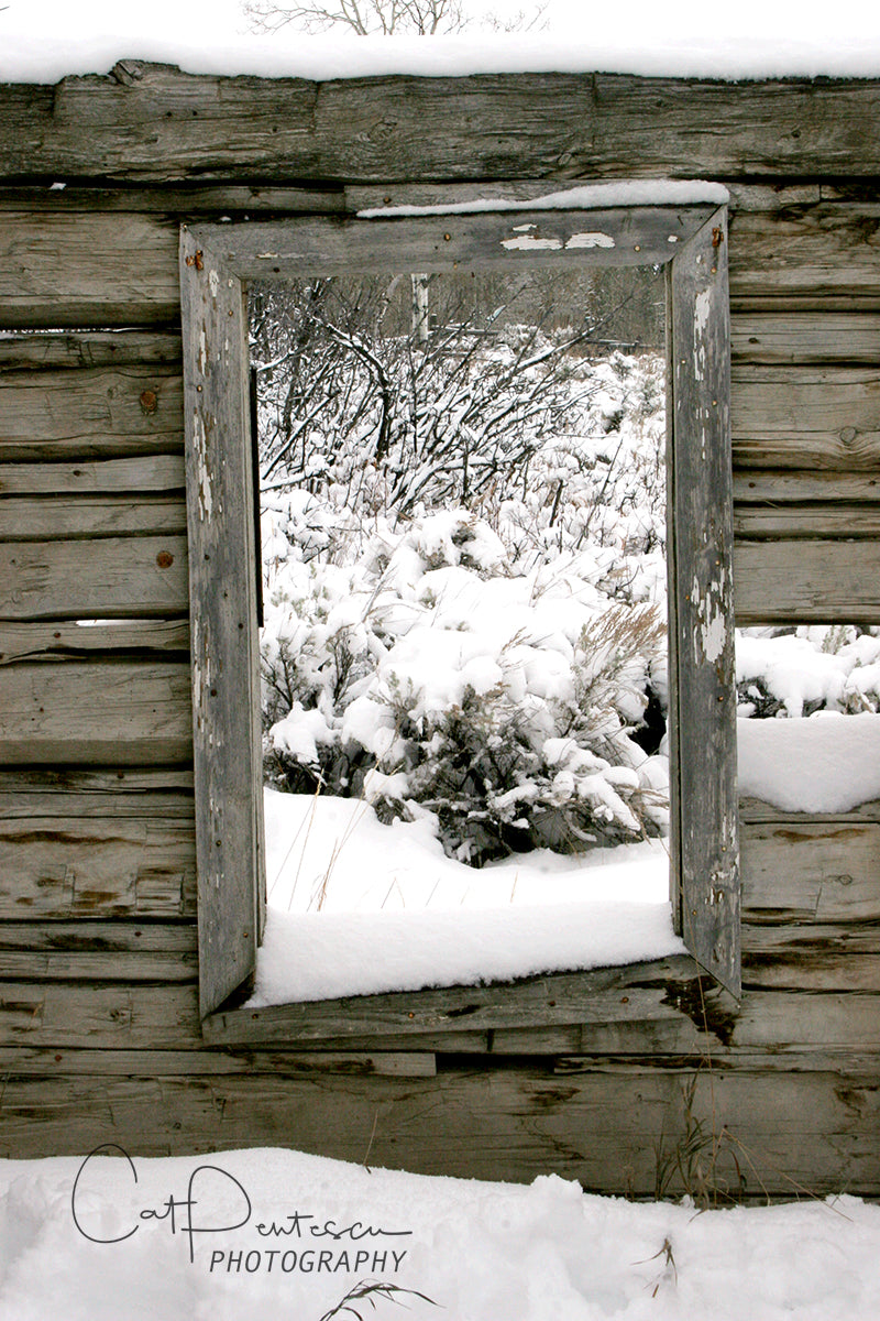 FRAMED