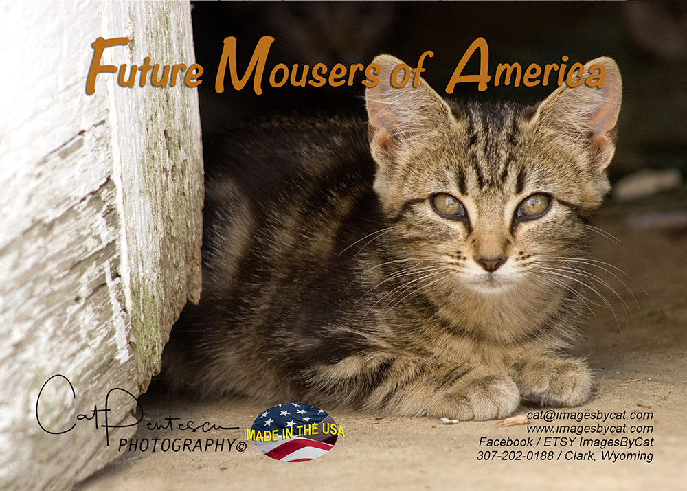 Greeting Card - FUTURE MOUSERS OF AMERICA