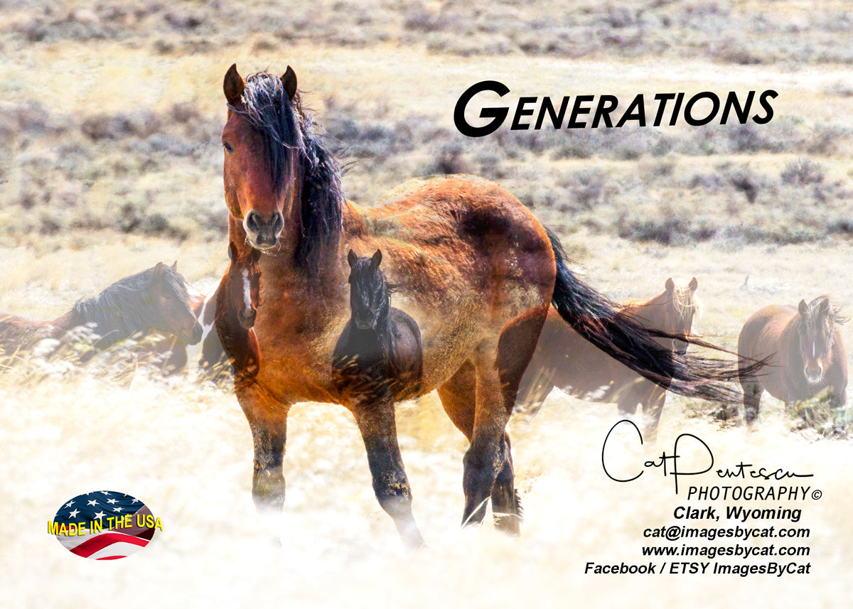 Greeting Card - GENERATIONS