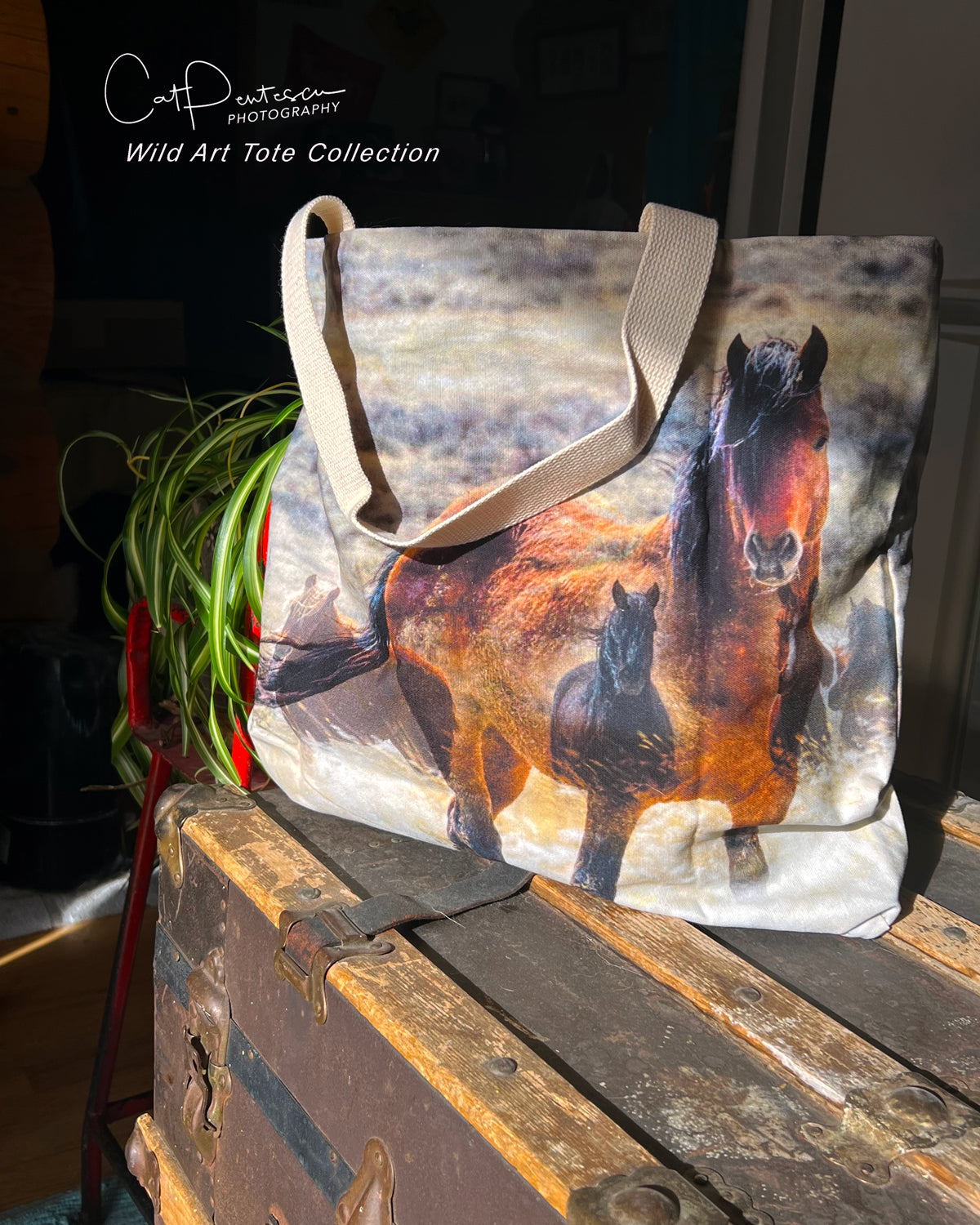 GENERATIONS MARKET TOTE