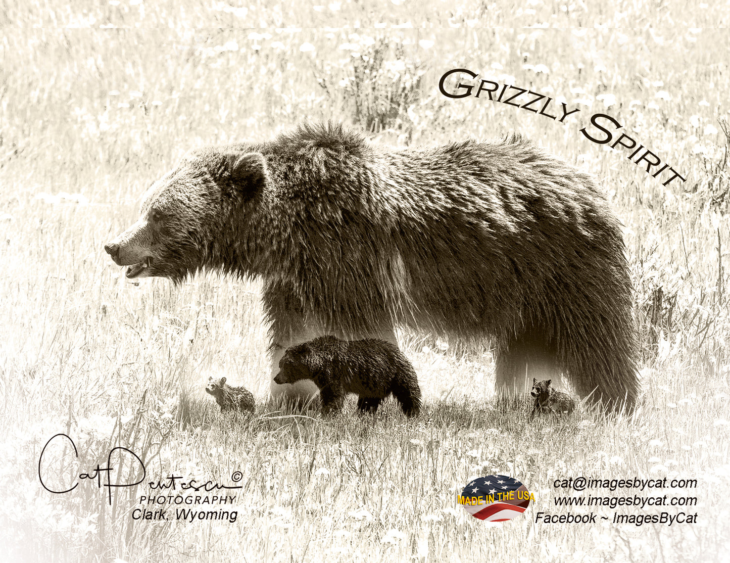 Note Cards - GRIZZLY SPIRIT