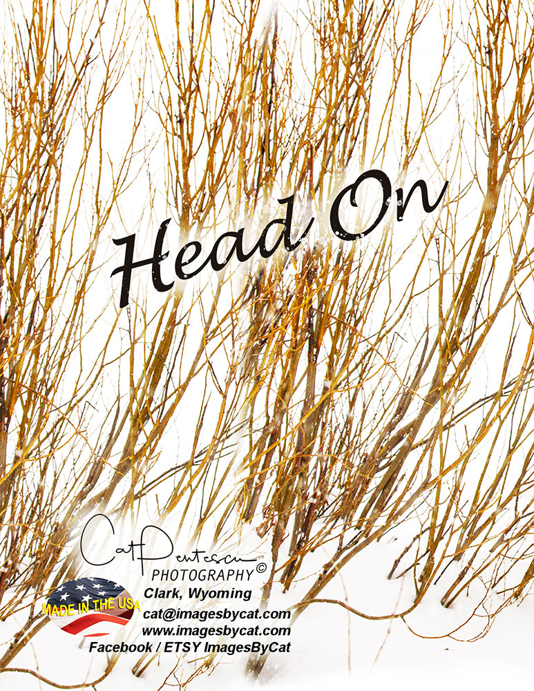 Note Cards - HEAD ON