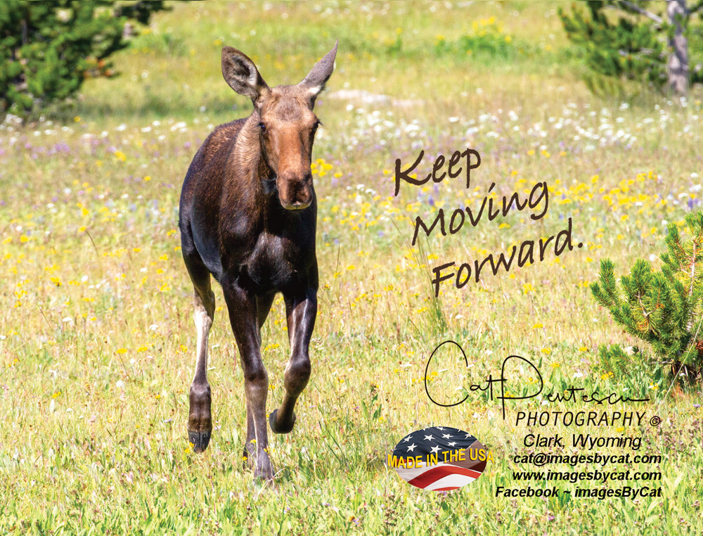 Note Cards - KEEP MOVING FORWARD