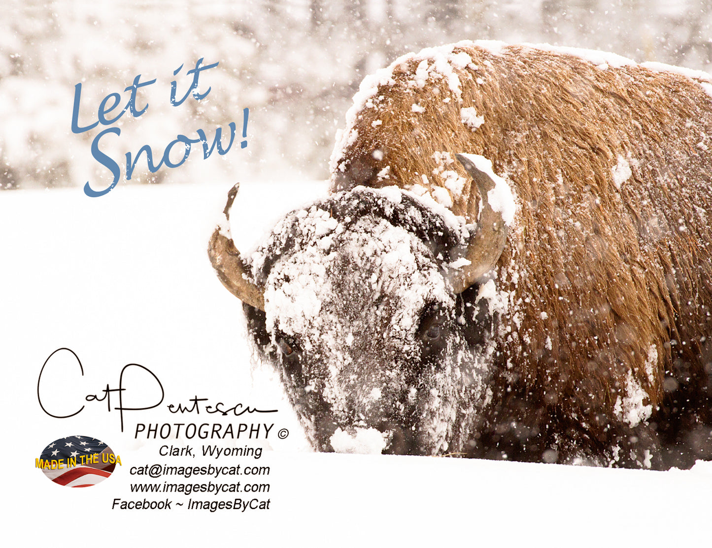 Note Cards - LET IT SNOW