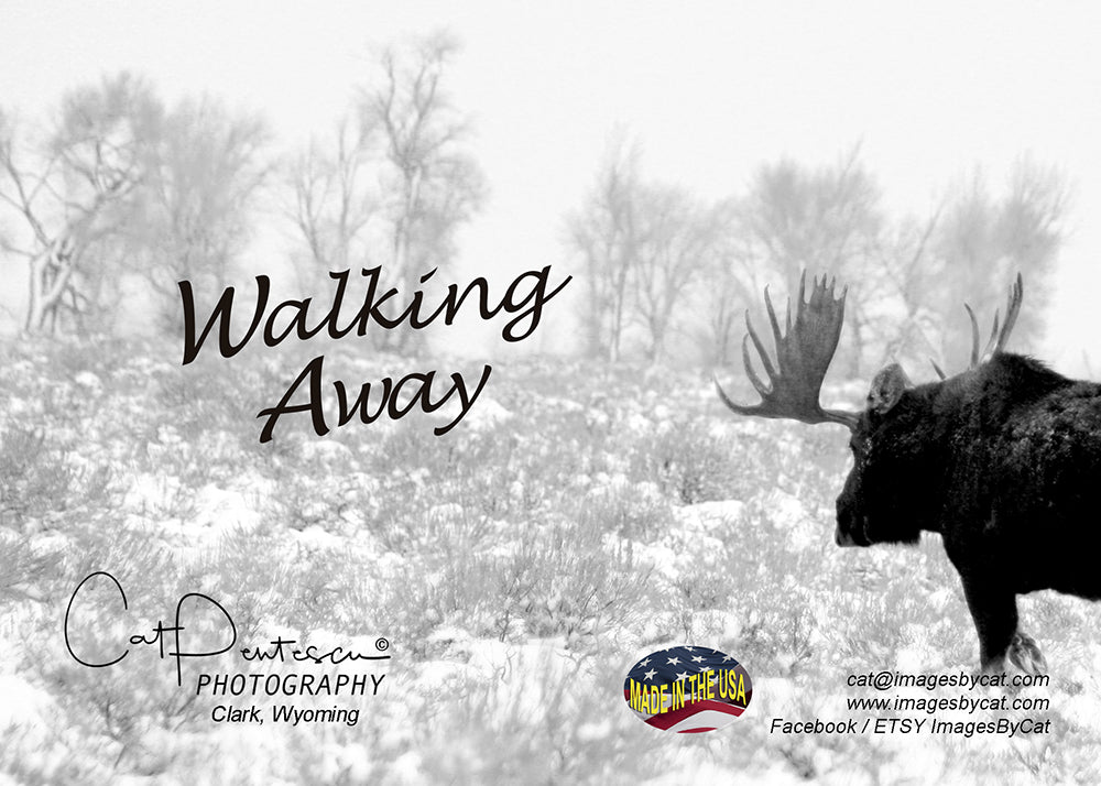 Greeting Card - WALKING AWAY (H)