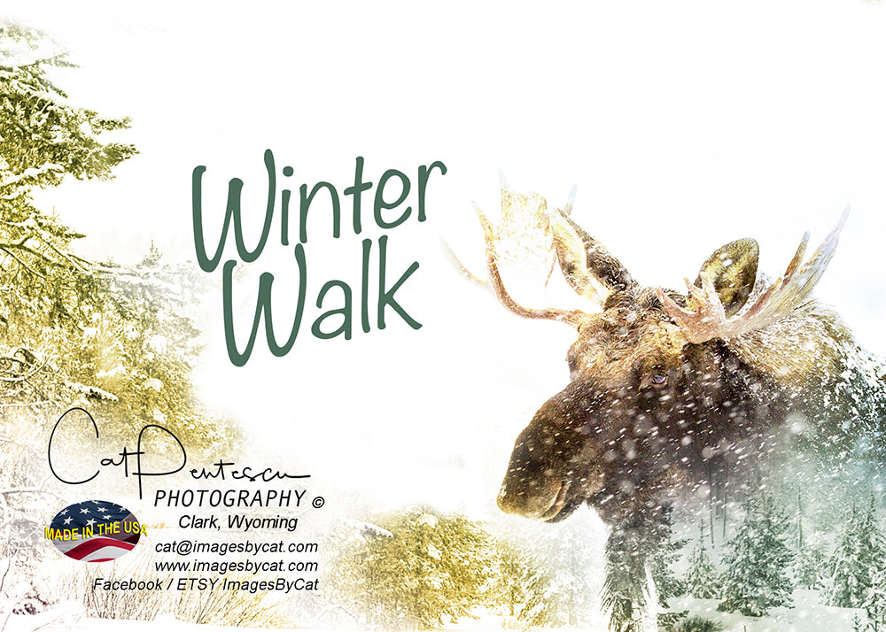 Greeting Card - WINTER WALK (H)