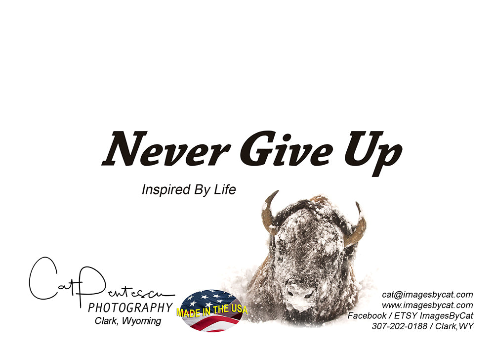 Greeting Card - NEVER GIVE UP