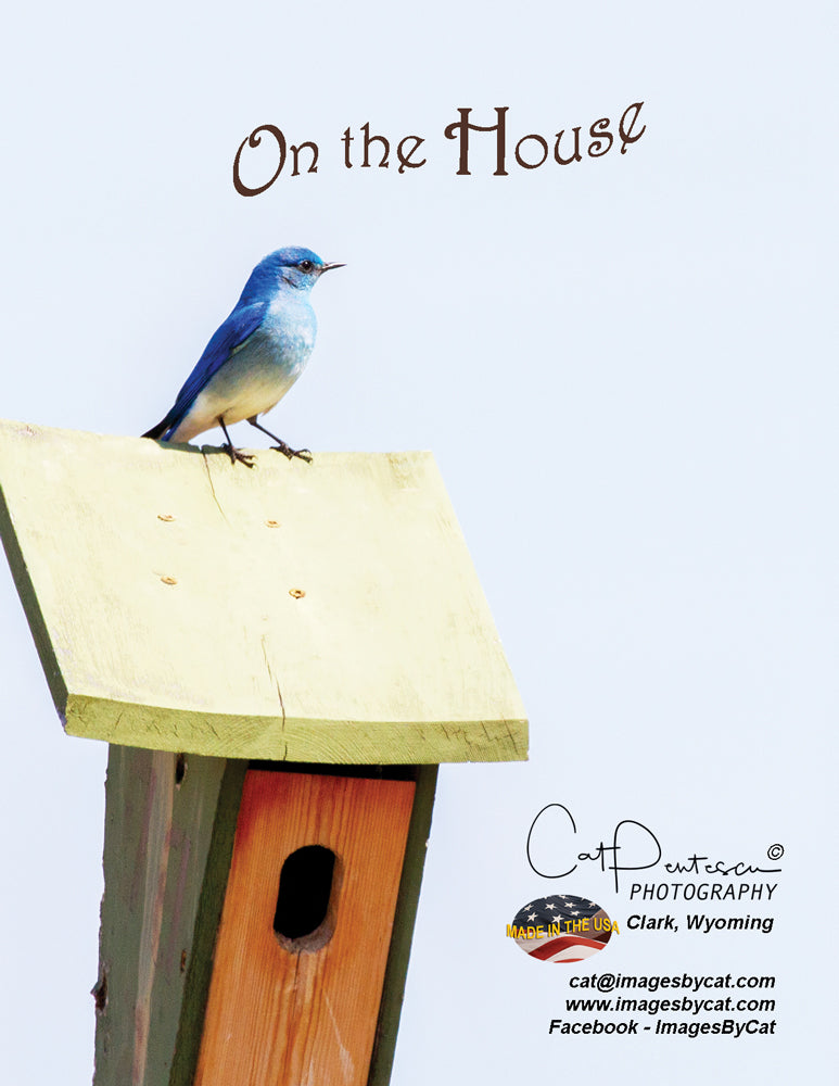 Note Cards - ON THE HOUSE