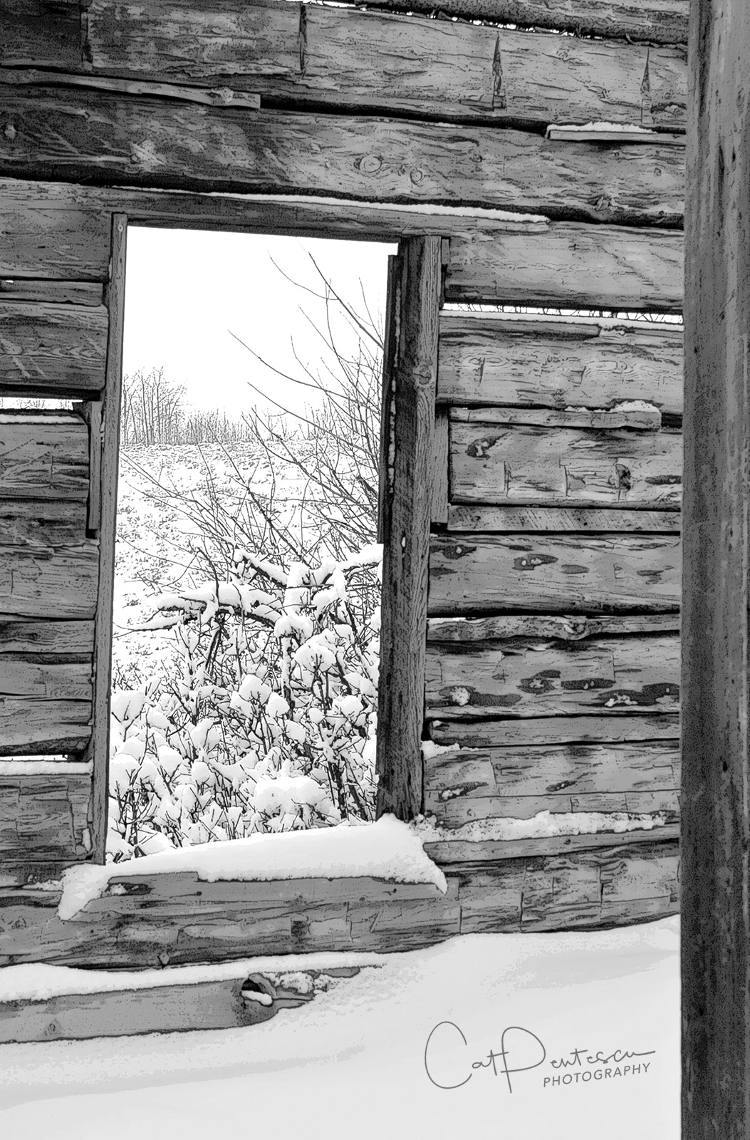 OPEN WINDOW