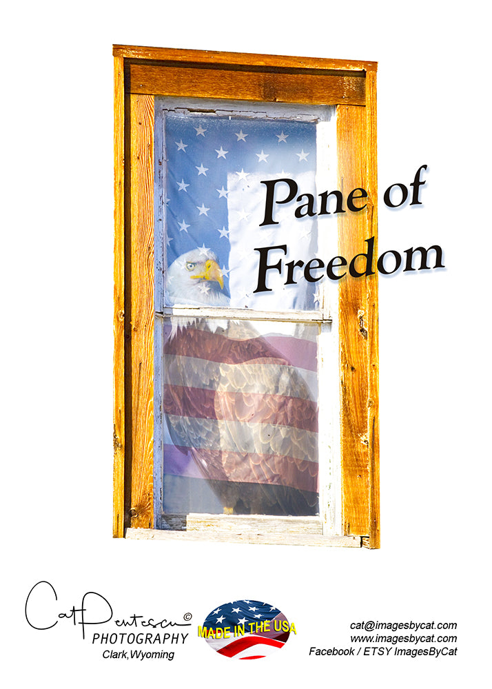 Greeting Card - PANE OF FREEDOM - BALD EAGLE