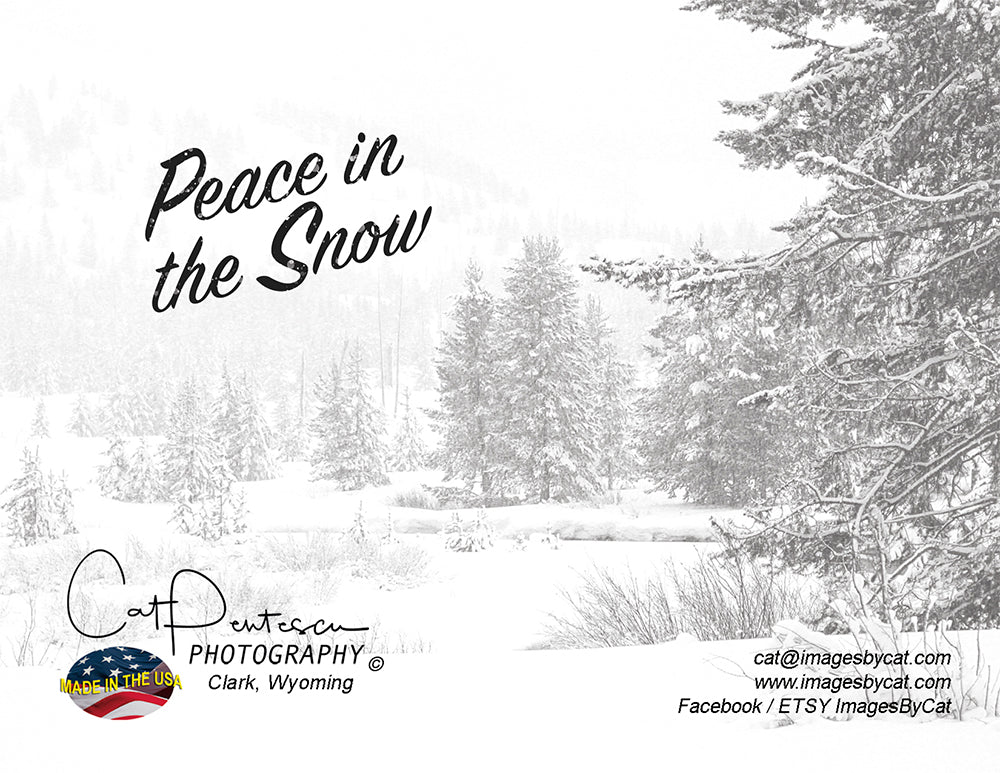 Note Cards - PEACE IN THE SNOW