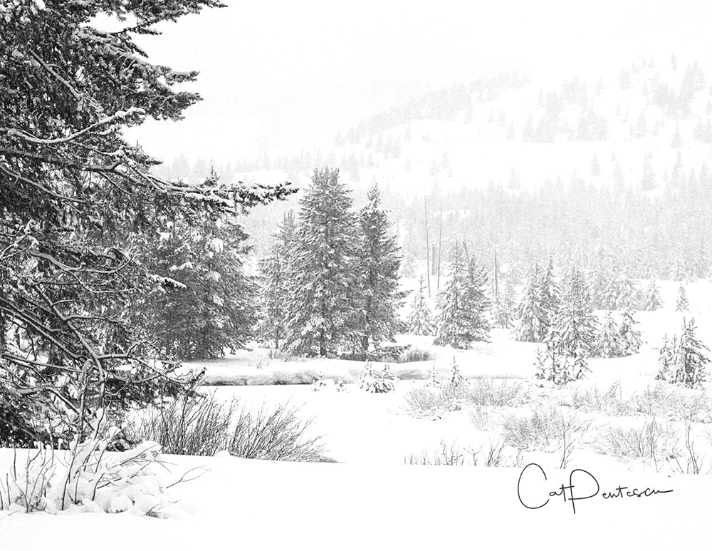 Note Cards - PEACE IN THE SNOW