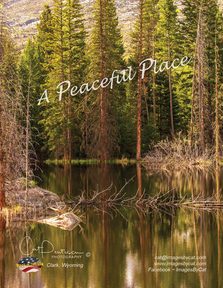 Note Cards - A PEACEFUL PLACE