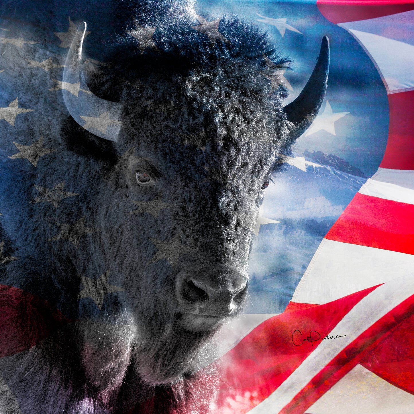 POWERED BY FREEDOM ACCENT PILLOW COVER