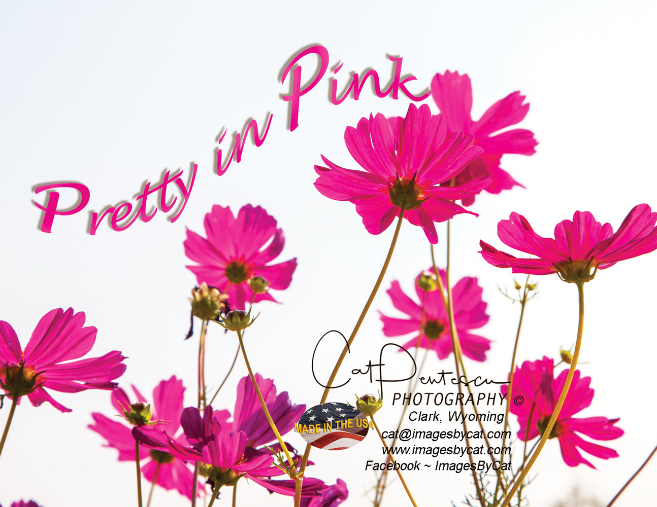 Note Cards - PRETTY IN PINK