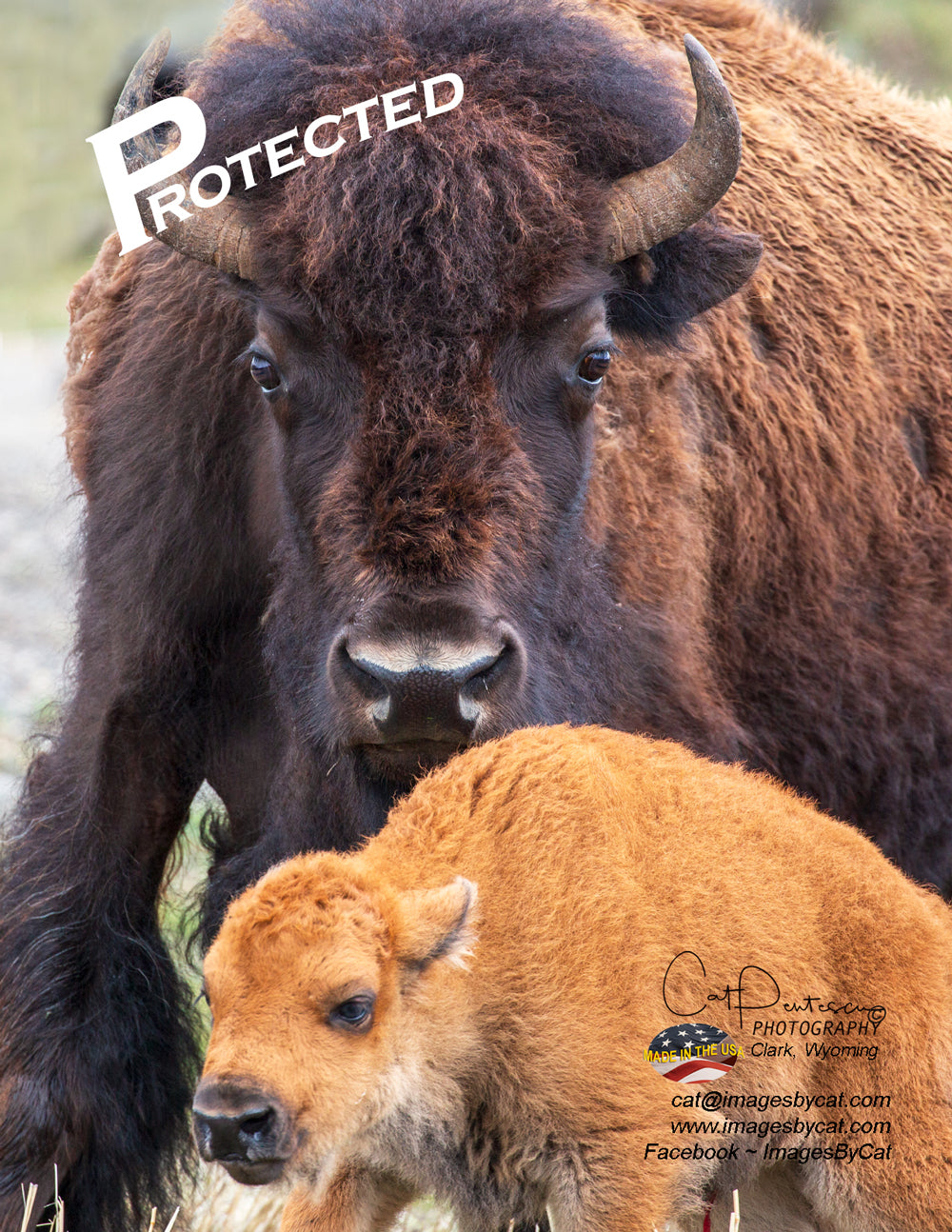 Note Cards - PROTECTED