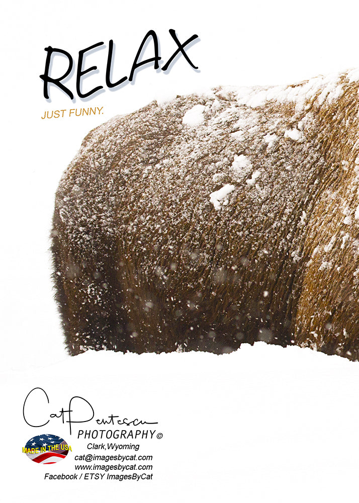 Greeting Card - RELAX