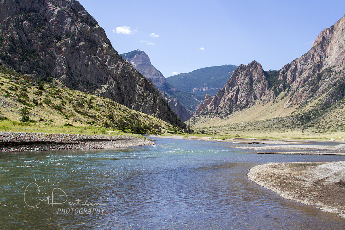 RIVER IN THE CANYON