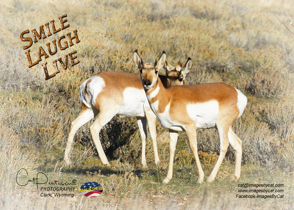 Greeting Card - SMILE LAUGH LIVE