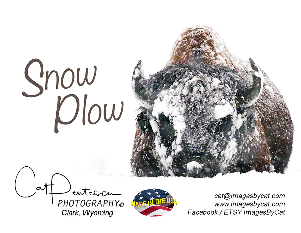 Note Cards - SNOW PLOW