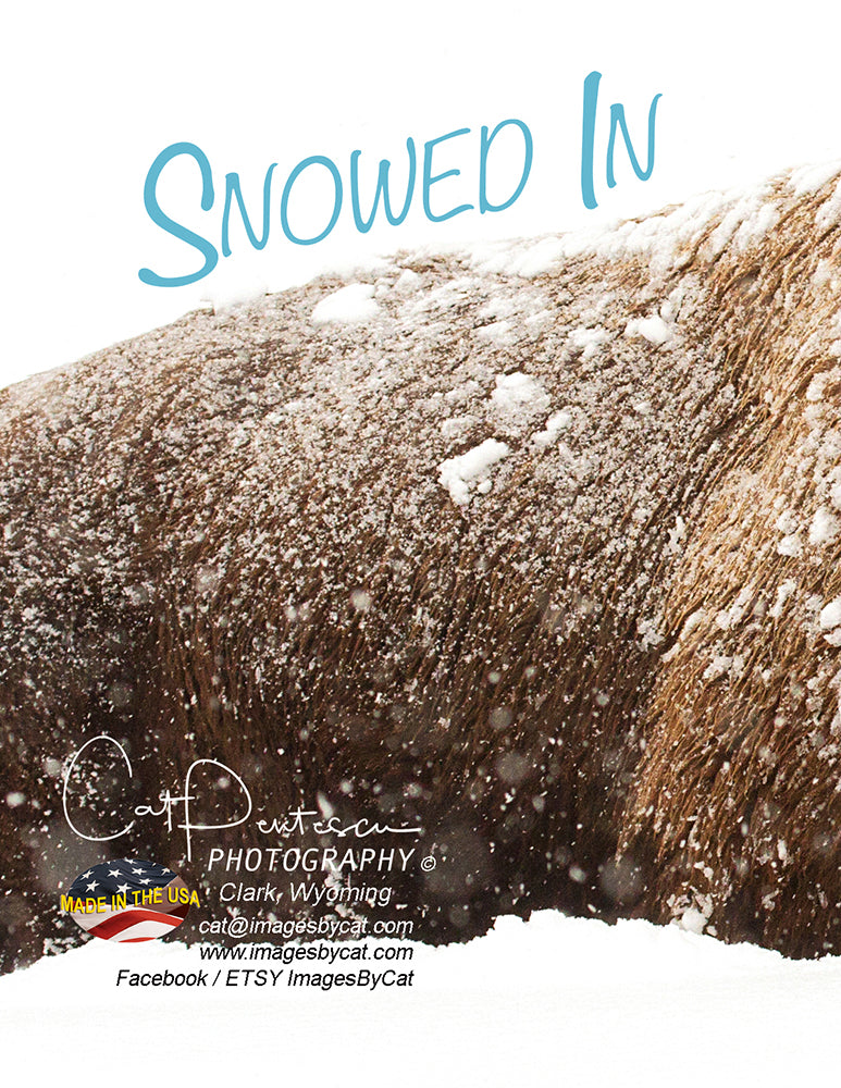 Note Cards - SNOWED IN