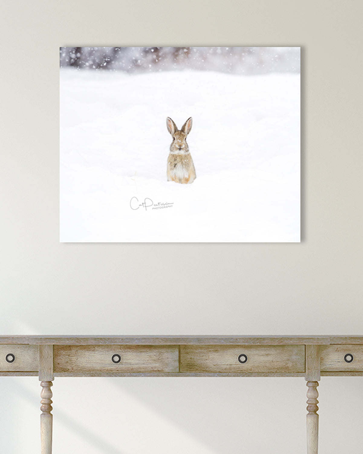 SNOW BUNNY