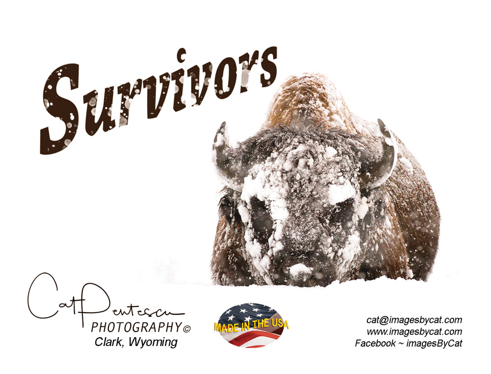 Note Cards - SURVIVORS