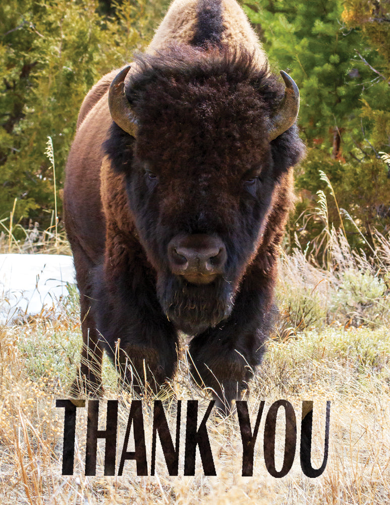 ♡SOLD OUT♡Thank you♡ Note Cards - OOZING ATTITUDE ~ Thank You Cards – Cat Pentescu