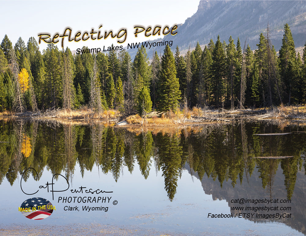 Note Cards - REFLECTING PEACE ~ Thank You Cards