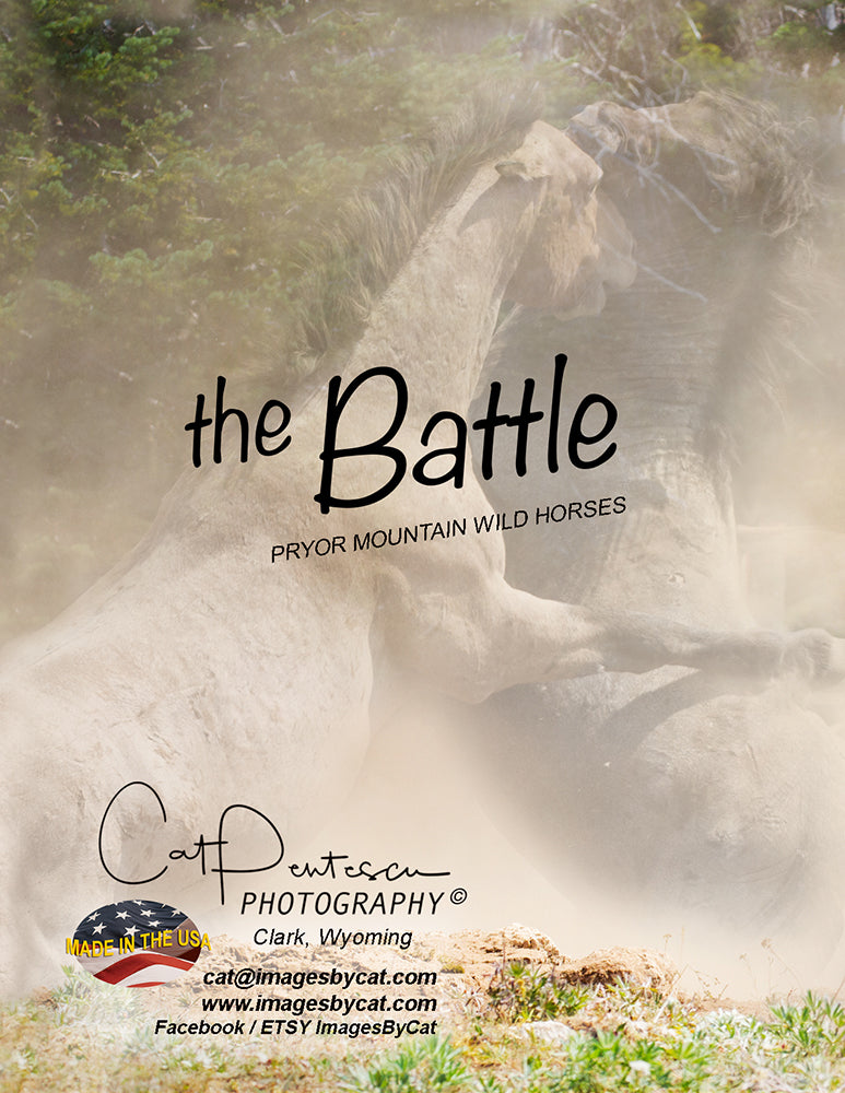 Note Cards - THE BATTLE